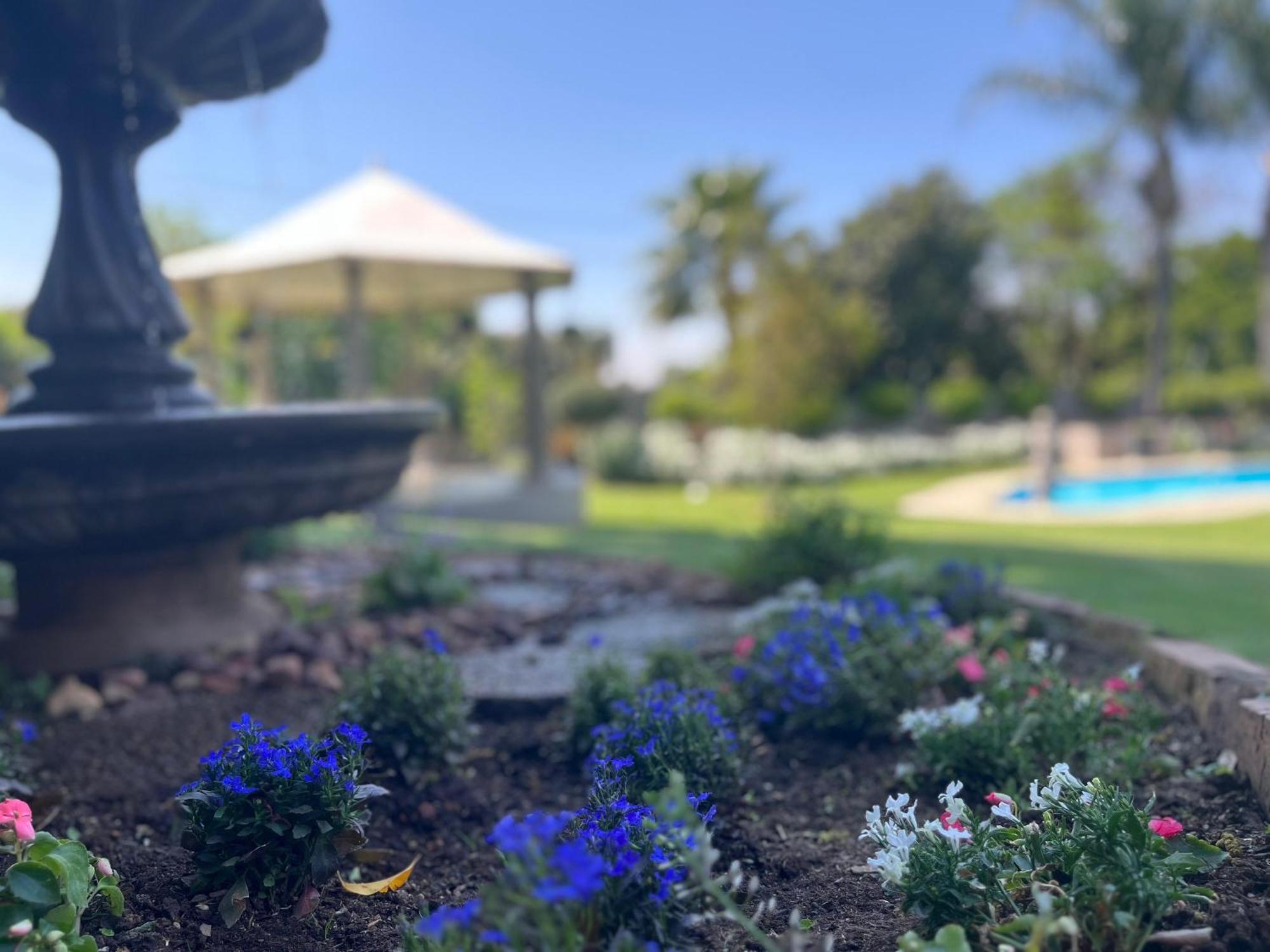 بريتوريا La Vida Luka - Luxury Guesthouse المظهر الخارجي الصورة